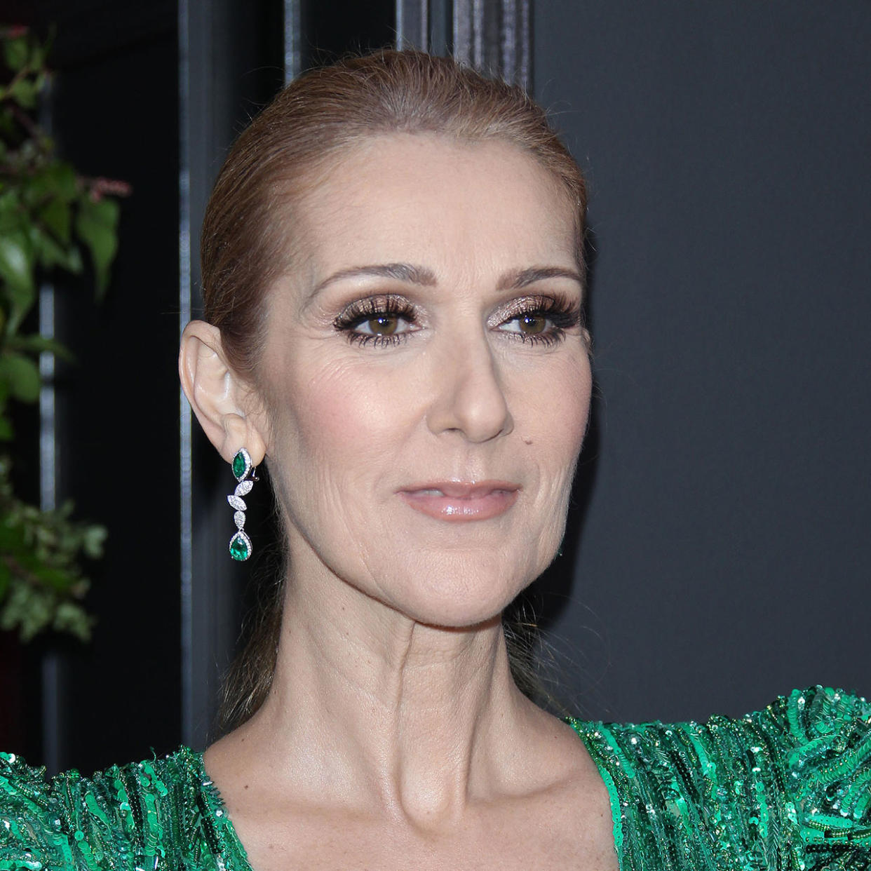 Celine Dion 59th annual Grammy Awards