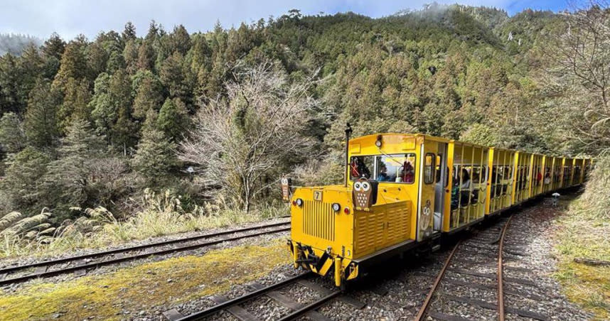 宜蘭縣太平山國家森林遊樂區的蹦蹦車，8月6日起將局部復駛。（圖／林業保育署宜蘭分署提供）