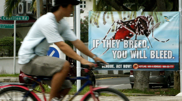 Minister Vivian Balakrishnan warns against a potential dengue epidemic. (AP file photo)