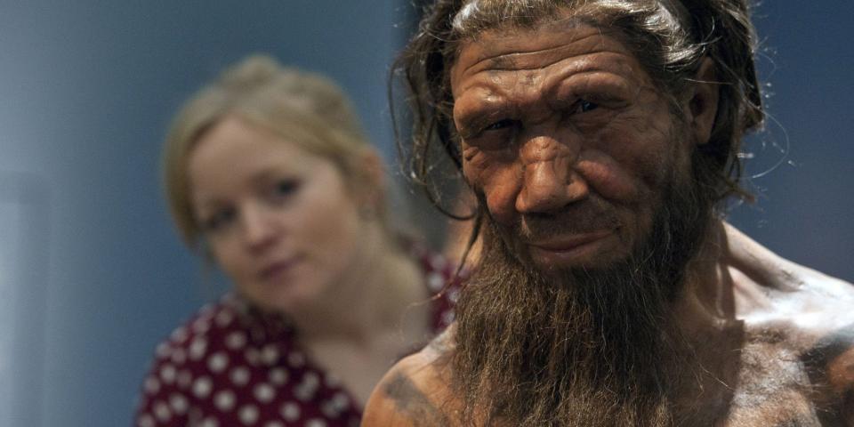 Eine Mitarbeiterin betrachtet das Modell eines männlichen Neandertalers in einer Museumsausstellung in London. - Copyright: Will Oliver/PA Images/Getty