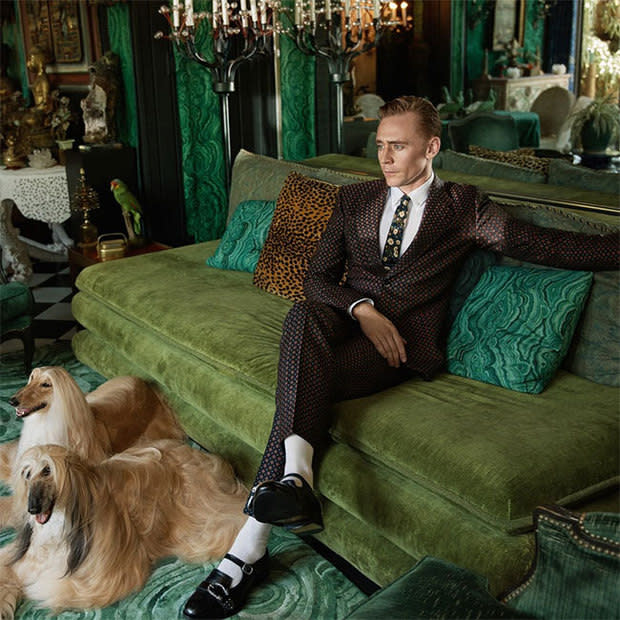 Tom Hiddleston Gucci Campaign