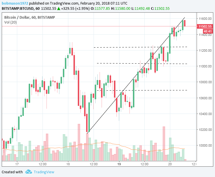 BTC/USD 20/02/18 Hourly Chart