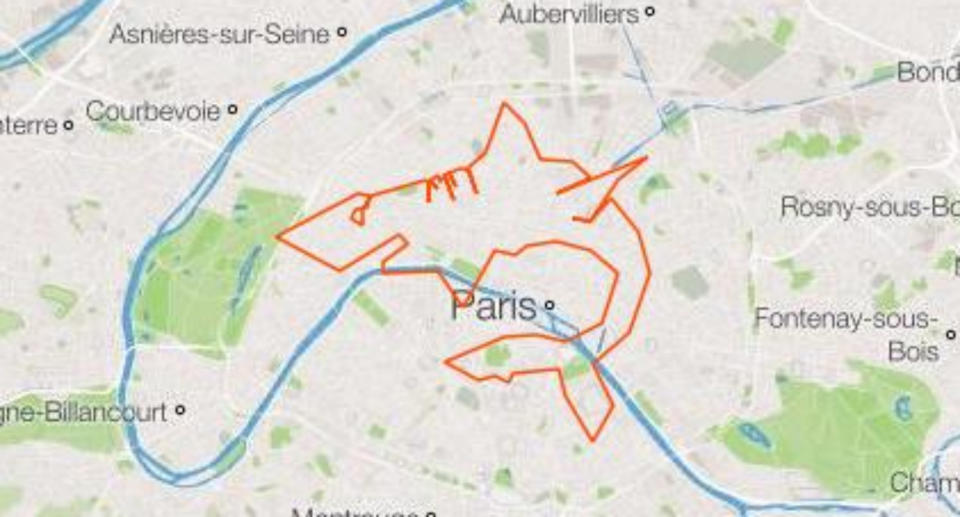 Le requin de Marine Leleu (DR/Strava)