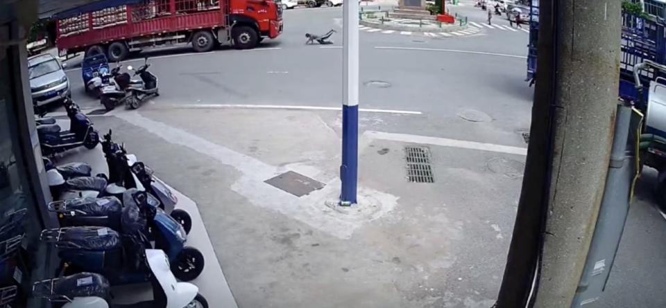中國大陸一名男子無視喇叭聲，朝一輛行駛中的紅色大貨車奔跑、撲倒，強行「碰瓷」，結果警車隨後趕到。（圖片來源：影片截圖）