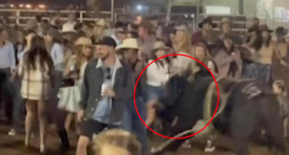 Bull running towards people in arena at rodeo in Western Australia. 