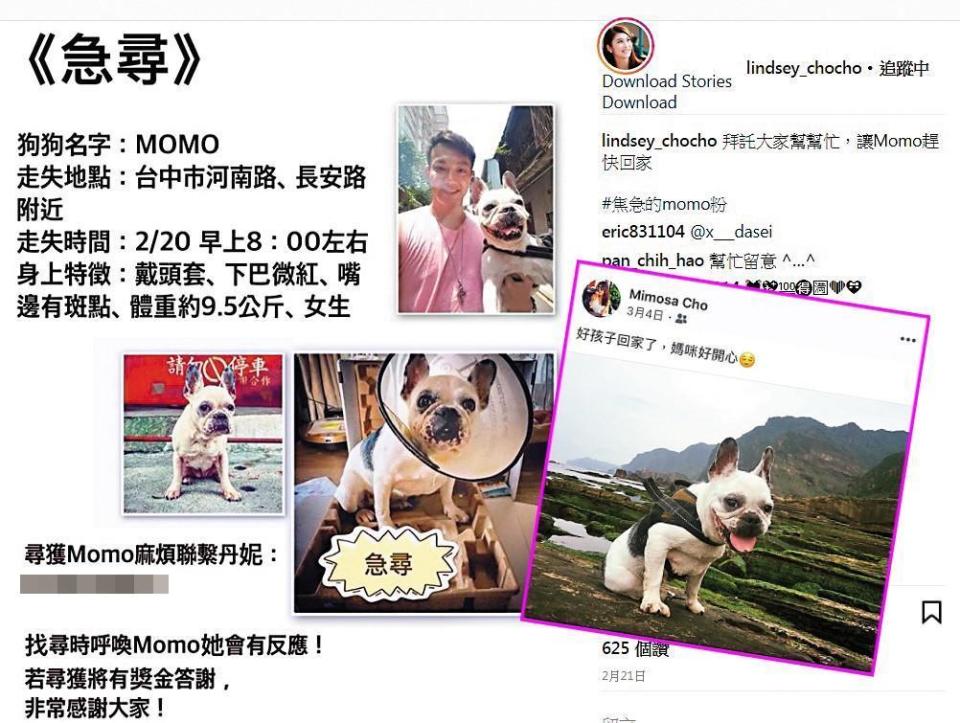 今年2月威廉的愛犬Momo走失，卓君澤急忙轉貼協尋啟事，3月初Momo尋回，她還在臉書po照開心自稱「媽咪」。（大圖翻攝自卓君澤IG，小圖為讀者提供）