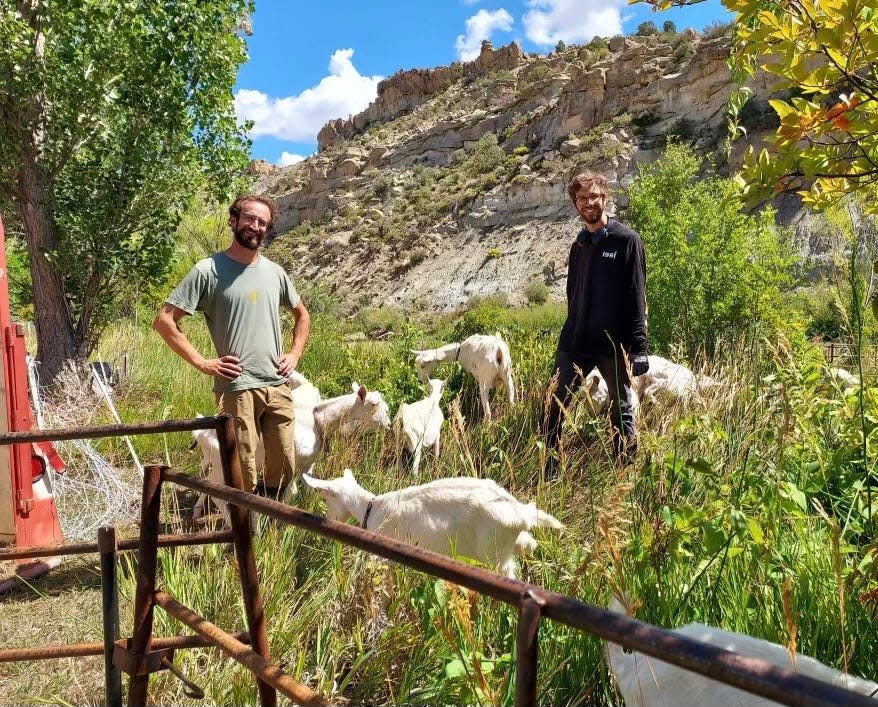 Jonathan Bartley and Adrian LaCasse with goats.
