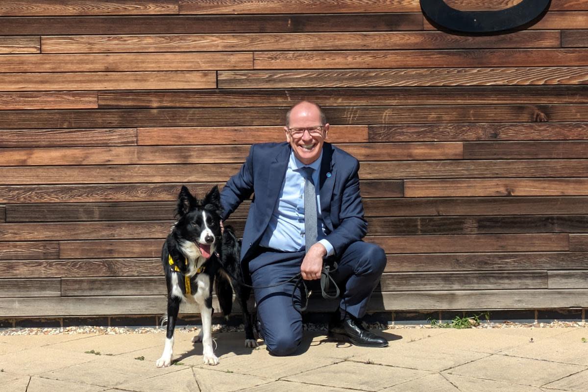 The MSP for Perthshire South and Kinross-shire was introduced to border collie Shadow who is currently looking for her forever home <i>(Image: Dogs Trust )</i>