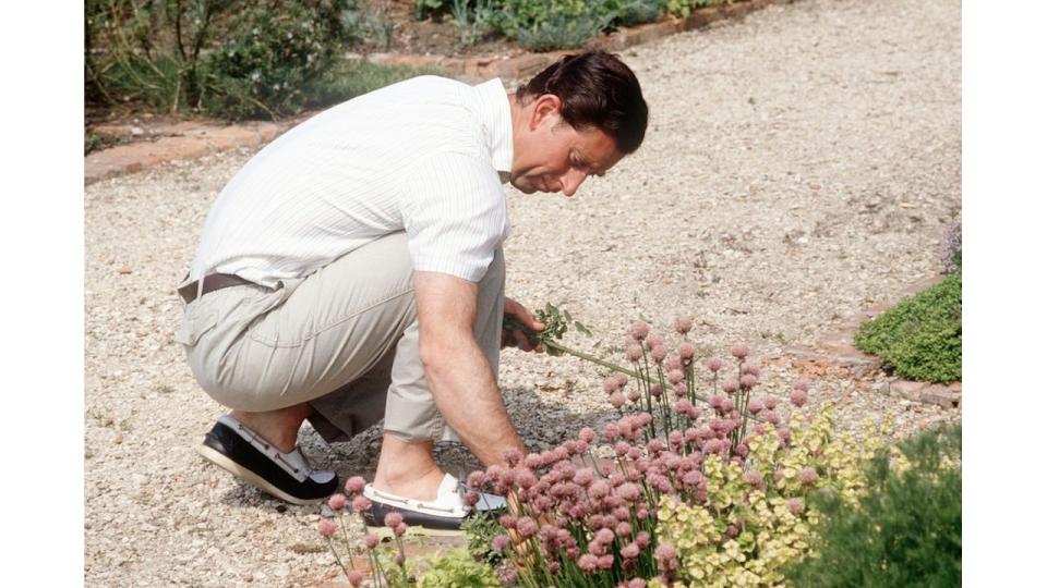 King Charles gardening