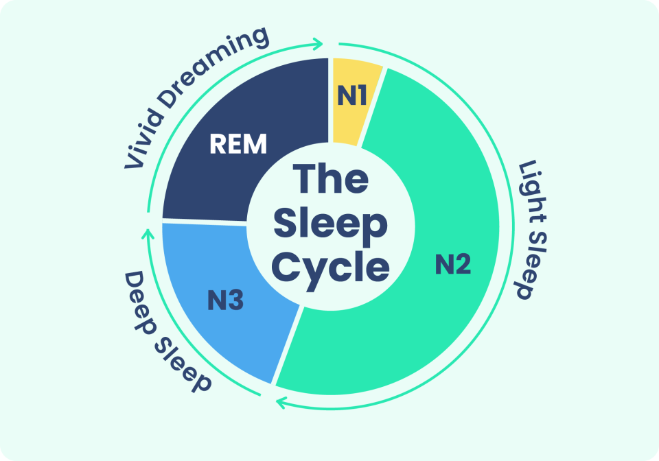 A chart shows the four stages of sleep: N1 and N2 (light sleep), N3 (deep sleep), and REM (vivid dreaming). 