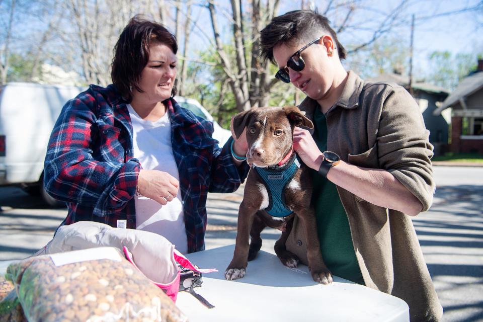 Connie Donnelley, right, a community programs coordinator with Asheville Humane Society, fits Rollo with a new harness for his owner, Lissa Franks. “He’s an emotional support animal,” said Franks.