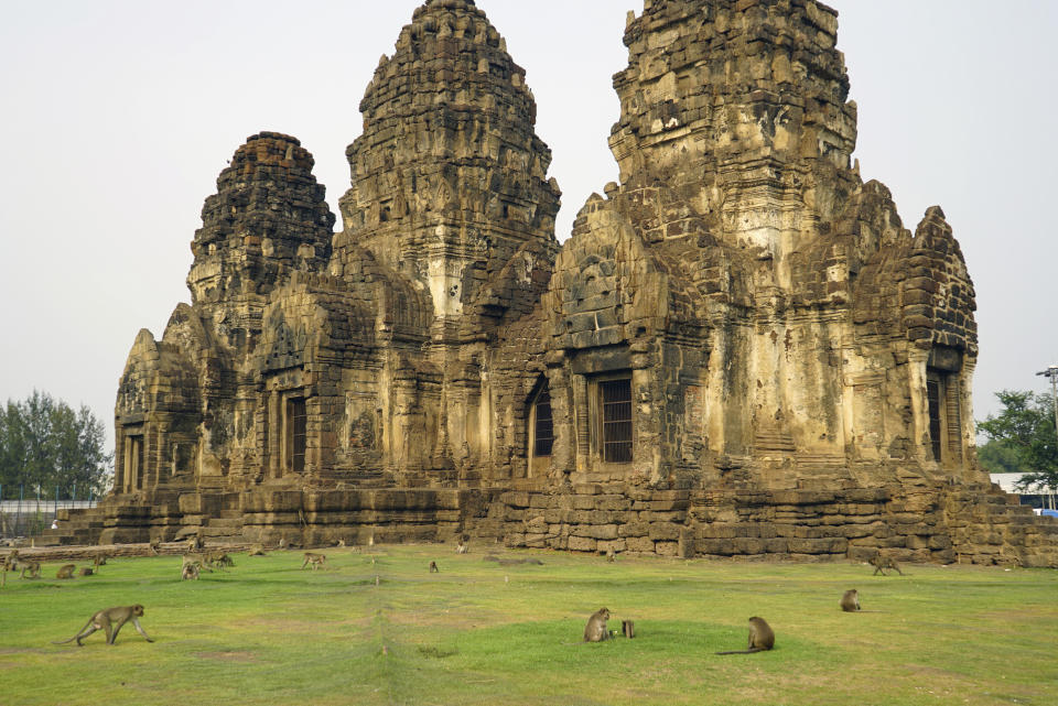 This March 16, 2019 photo shows local monkeys gathering at Phra Prang Sam Yot temple in the center of Lopburi town, known as Monkey City, in central Thailand. Lopburi, one of Thailand’s oldest cities, boasts Khmer-era temples and the uncrowded ruins of King Narai’s Palace. It’s also known for the mischievous monkeys that gather at Phra Prang Sam Yot temple in the center of town. (AP Photo/Nicole Evatt)