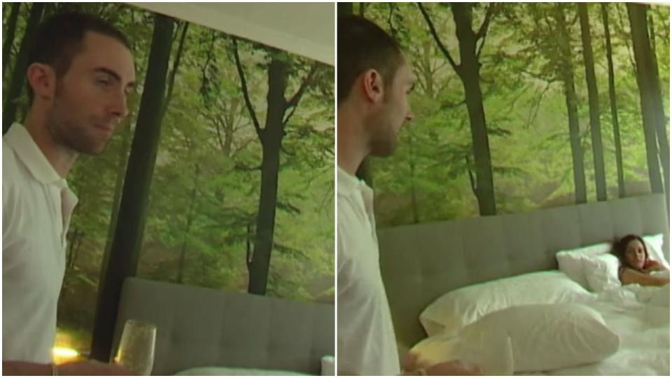 <p>For some reason, Adam Levine felt the need to decorate his bedroom wall with a forest, and his girlfriend's face probably says it best: 😐</p>