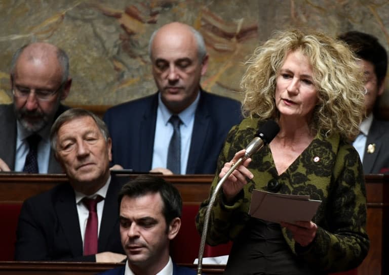 Martine Wonner à l'Assemblée nationale, le 14 novembre 2017 - STEPHANE DE SAKUTIN © 2019 AFP