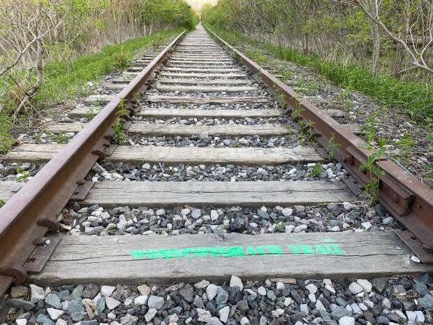 The words 'Wonscotonach Trail' have been spray painted onto a section of Don Branch track near the Evergreen Brickworks. 