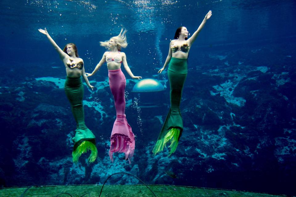 Three mermaids perform for the audience at Weeki Wachee Springs.