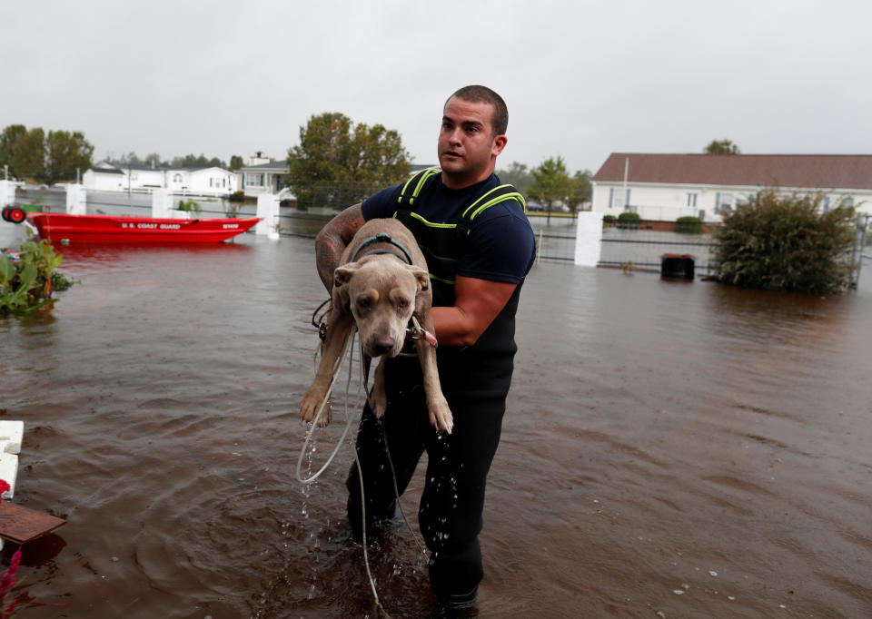 Saving pets after Hurricane Florence