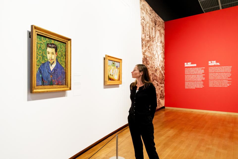 Curator of Van Gogh paintings at the Van Gogh Museum Nienke Bakker looks at the painting 'Portrait of Doctor Felix Rey', part of the exhibition 'On the Verge of Insanity', at the museum in Amsterdam on July 12, 2016. Amsterdam's renowned Van Gogh Museum unveiled a new exhibition on July 12 focusing on Vincent's final 18 months of mental anguish before he shot himself in 1890, including the suspected gun he used in his suicide.