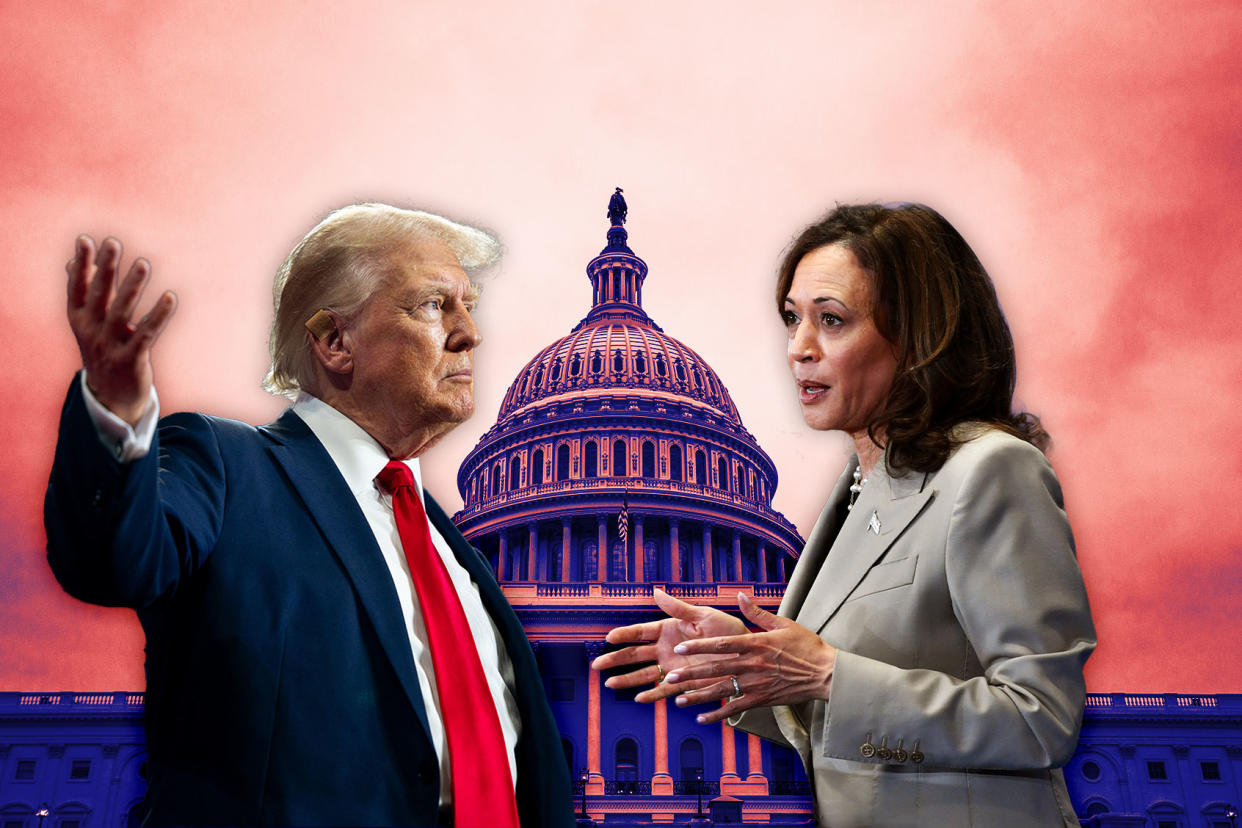 Donald Trump; Kamala Harris; Capitol Hill Photo illustration by Salon/Getty Images