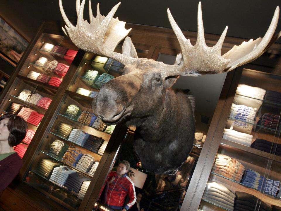 abercrombie moose