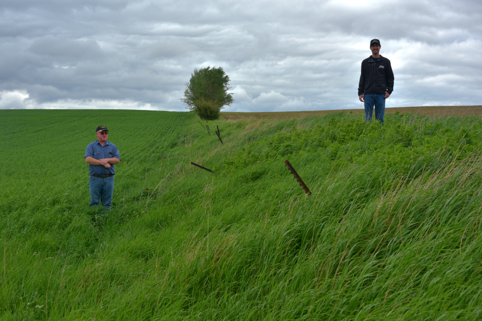 Anthony Bly, left, stands in a no-till field, while Austin Carlson, right, stands on a tilled farmland separated by a 5-foot tall slope Tuesday, May 31, 2022. These two fields were once level, but soil erosion from the tilled field removed all the topsoil on the slope, leading the land to dip towards the no-till farmland.