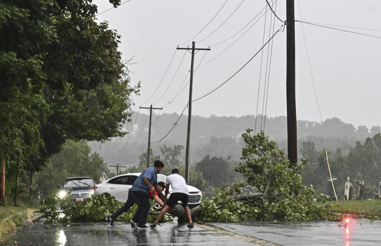 Motorists remove a fallen tree from the road.