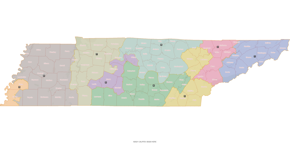 Tennessee House Republicans have proposed a redistricting plan that would split Davidson County and Nashville into three districts.