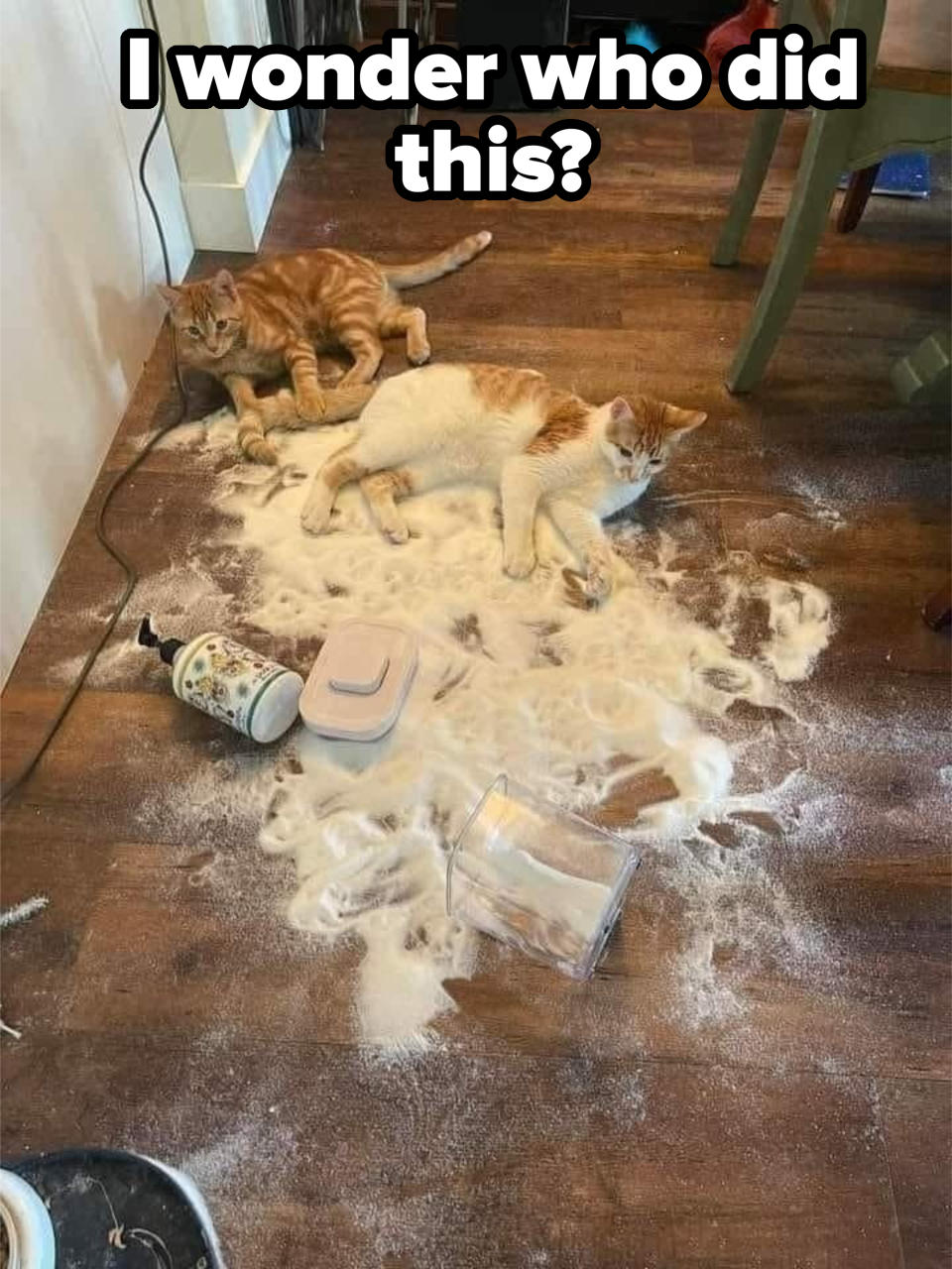 Two cats lying on a kitchen floor amid a spilled powdery substance and scattered containers. The mess suggests they may have caused it while playing