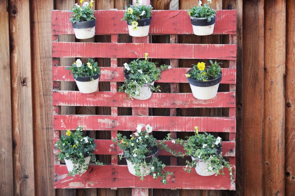 <p>These pots look like they're suspended in mid-air, but they're actually secured with clay pot hooks — plastic supports that easily screw into a wall and let you quickly hook and unhook terra cotta pots. Each hanger can bear up to 30 pounds, so they're great for larger pots as well.</p><p><a class="link " href="https://www.amazon.com/Pot-Latch-Hangers-3-pack-Brown/dp/B00JGUOWTA/?tag=syn-yahoo-20&ascsubtag=%5Bartid%7C10050.g.1432%5Bsrc%7Cyahoo-us" rel="nofollow noopener" target="_blank" data-ylk="slk:SHOP CLAY POT HOOKS;elm:context_link;itc:0;sec:content-canvas">SHOP CLAY POT HOOKS</a><br><br></p>