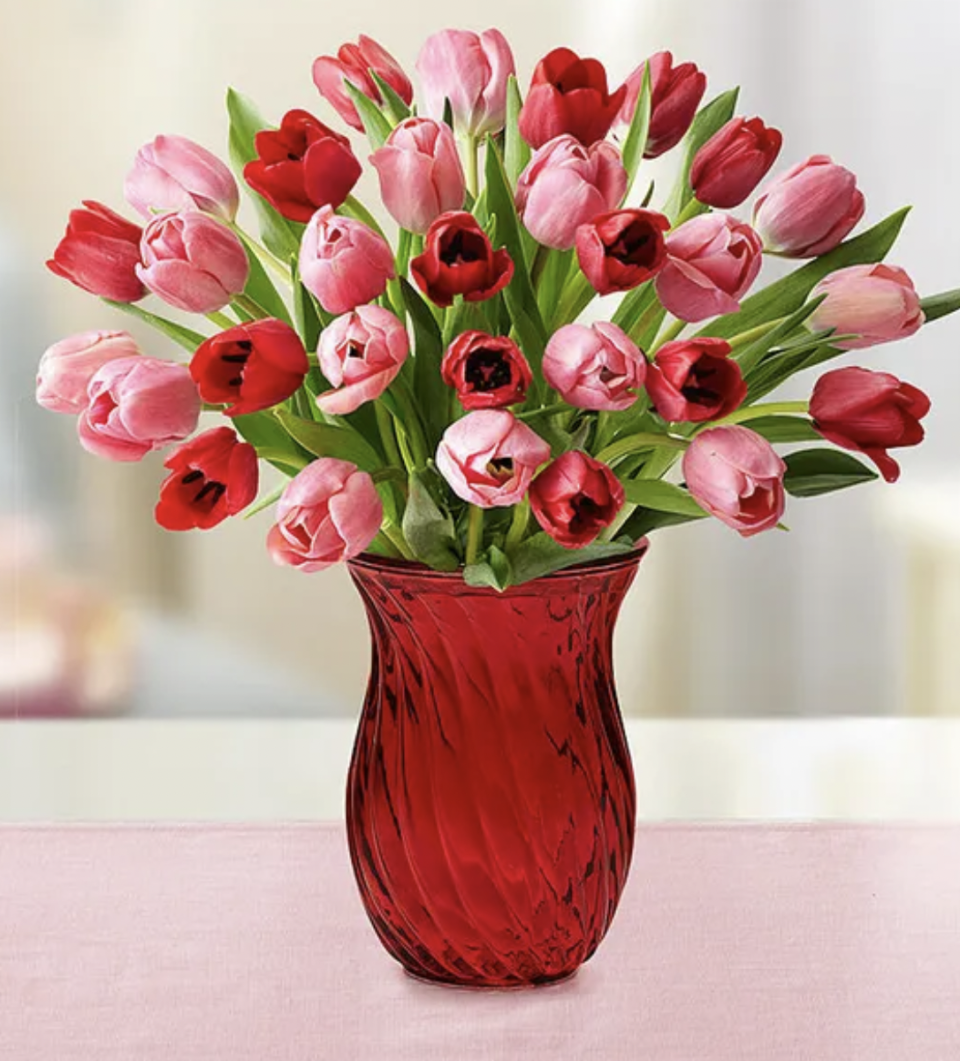 <p><a href="https://go.redirectingat.com?id=74968X1596630&url=https%3A%2F%2Fwww.1800flowers.com%2Ffarm-fresh-tulips-142457&sref=https%3A%2F%2Fwww.thepioneerwoman.com%2Fholidays-celebrations%2Fgifts%2Fg42406008%2Fvalentines-day-flowers%2F" rel="nofollow noopener" target="_blank" data-ylk="slk:Shop Now;elm:context_link;itc:0;sec:content-canvas" class="link ">Shop Now</a></p><p>1-800 Flowers Sweetest Love Tulips Arrangement</p><p>1800flowers.com</p><p>$101.99</p><span class="copyright">1-800 Flowers</span>