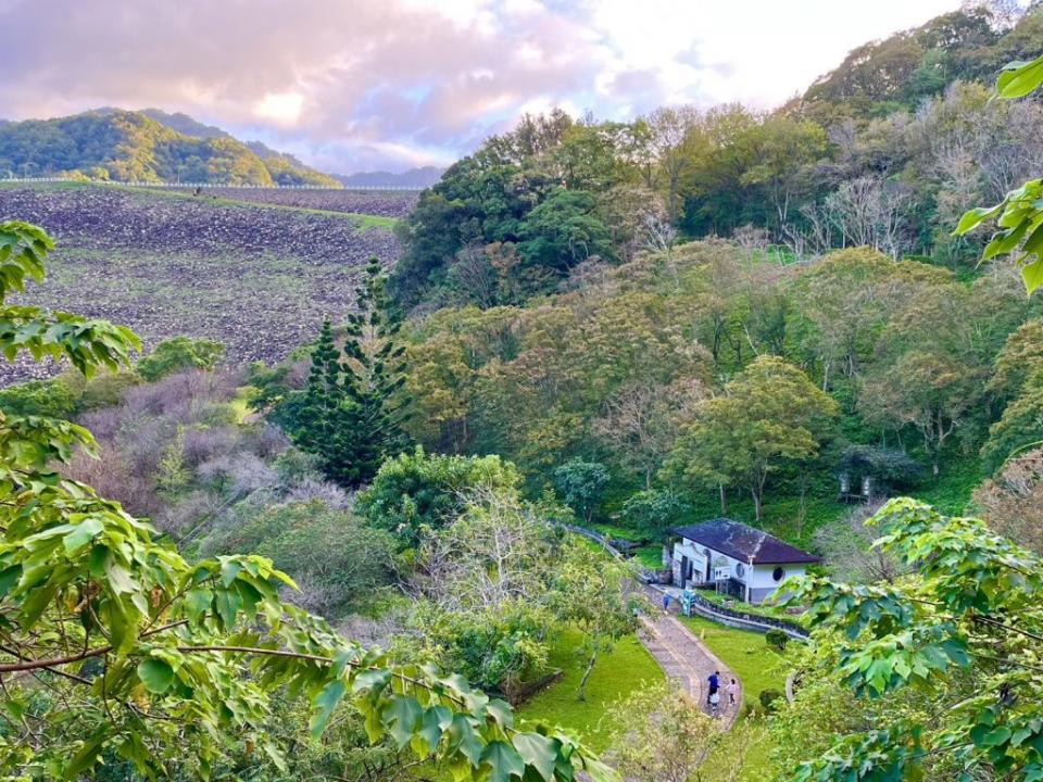 花季系列展開，石門水庫快「楓」了，民眾可來欣賞美景。（北水局提供）