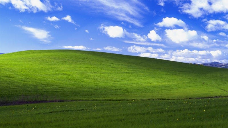 "Bliss," the default desktop background of the Windows XP operating system.