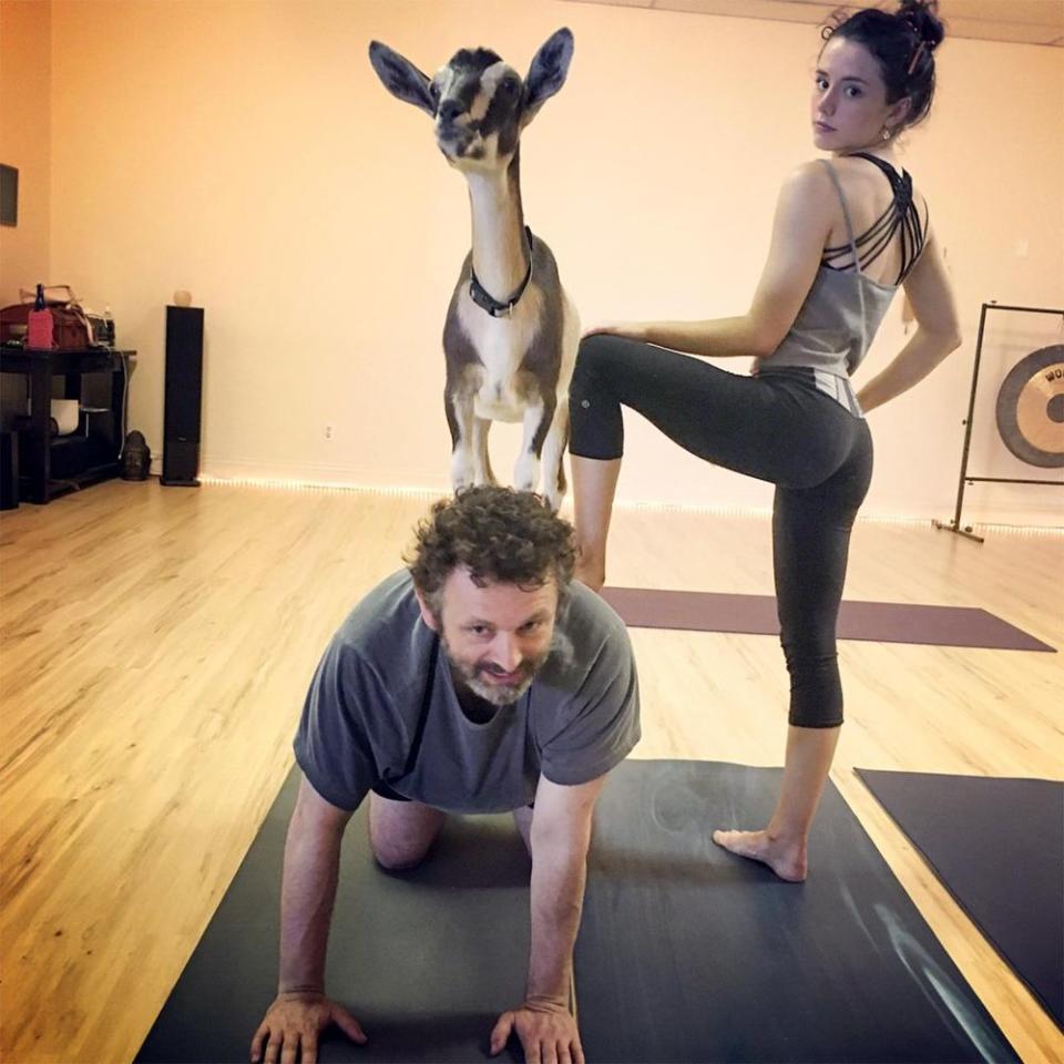Michael Sheen with his daughter, Lily, and a goat on his back during a yoga session