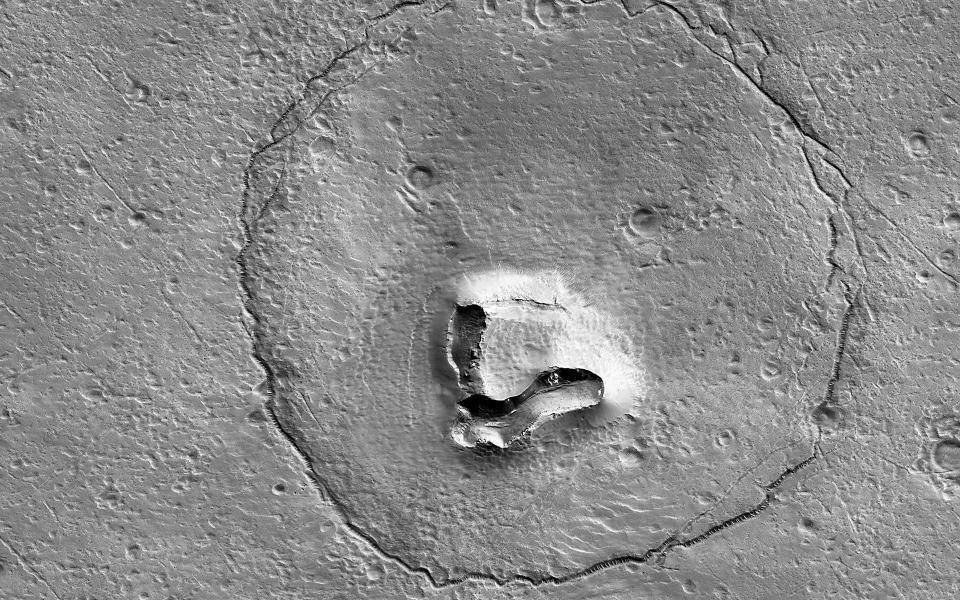 The Mars Reconnaissance Orbiter (MRO) captured this bit of ursine pareidolia on Dec. 12, 2022. While it resembles a bear, this is actually a hill on Mars with a peculiar shape. A V-shaped collapse structure makes the nose, two craters form the eyes, and a circular fracture pattern shapes the head. The circular fracture pattern might be due to the settling of a deposit over a buried impact crater. Launched on Aug. 12, 2015, the MRO studies the history of water on Mars and observes small-scale features on the planet’s surface.