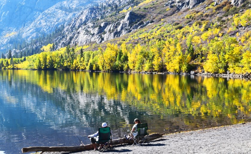 Colorful trees provide beautiful backgrounds all along June Lake Loop, off of Hwy. 395. This scene was at Silver Lake. Taken 10/12/20