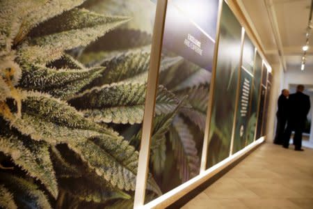 The inside of the Columbia Care medical marijuana dispensary is seen in New York January 7, 2016.  New York's first medical marijuana dispensaries are opening their doors on Thursday, as the state launches one of the most conservative programs of its kind in the United States. REUTERS/Shannon Stapleton/File Photo