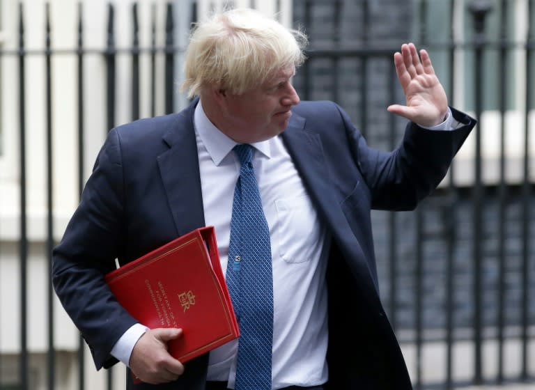 British Foreign Minister Boris Johnson, who has long been tipped as a future prime minister, played a key role in the referendum vote to leave the EU last year but since then has largely stayed out of domestic politics