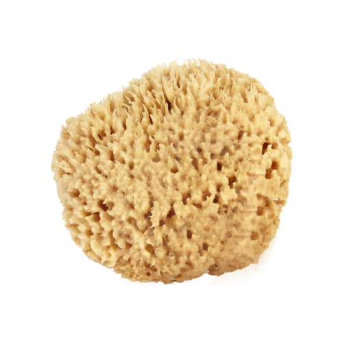 Bath Shower Express Sea Wool Sponge