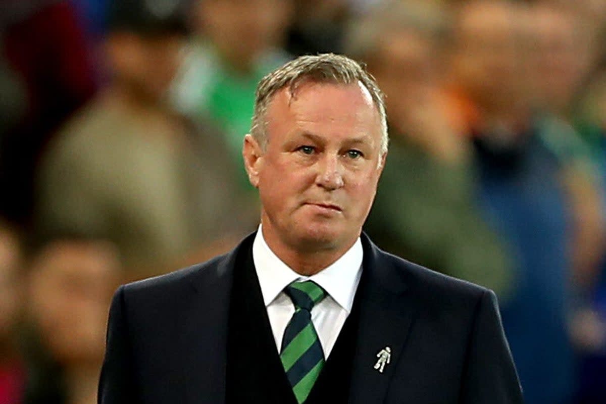 Michael O’Neill could be returning as Northern Ireland manager (Liam McBurney/PA) (PA Archive)