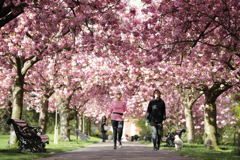 Greenwich Park (Getty Images)