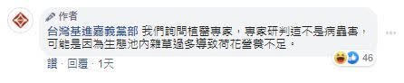 基進嘉義黨部PO荷花枯萎照監督公園維護，網：聽過秋天？（圖／翻攝台灣基進嘉義黨部）