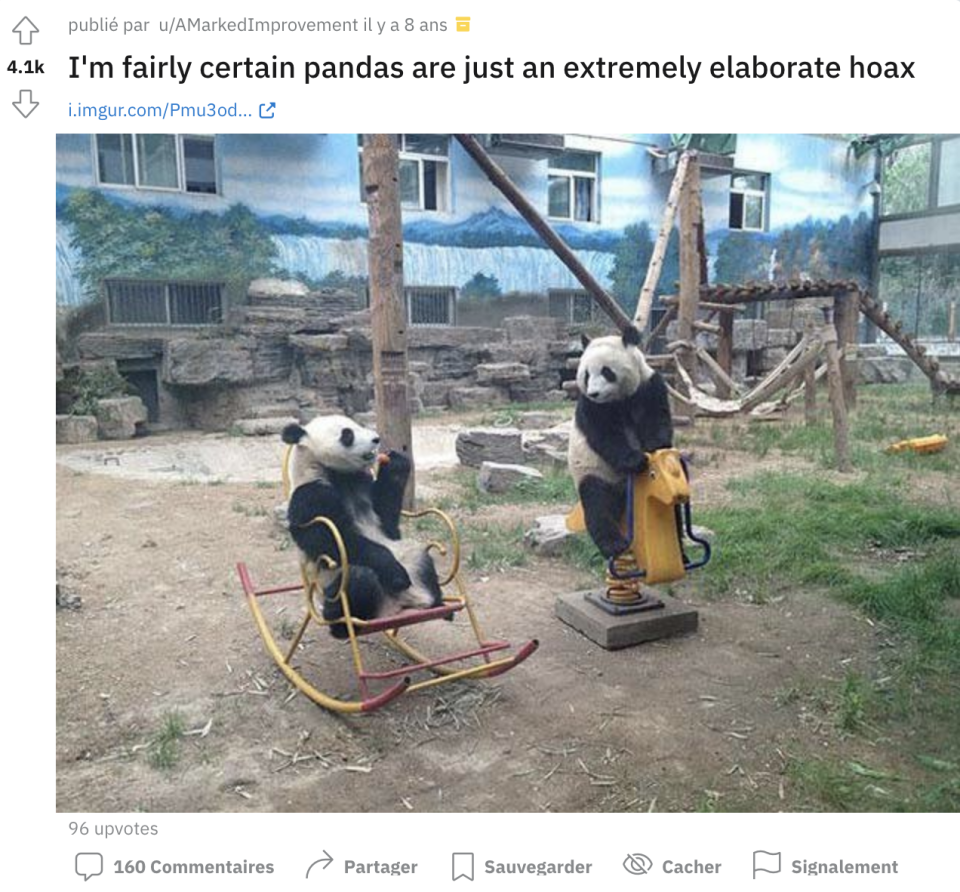 "Je suis presque sûr que les pandas sont justes un canular extrêmement élaboré" (Capture d'écran Reddit)