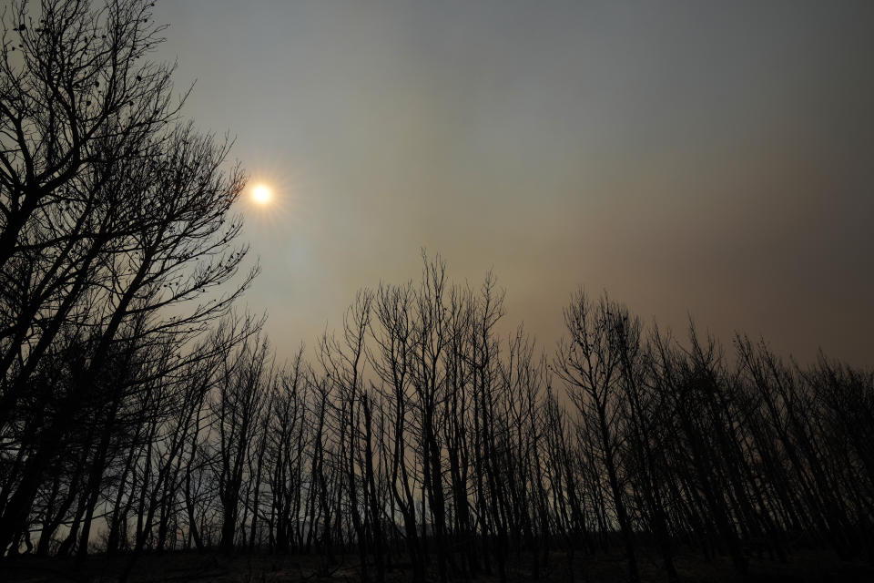 Smoke from wildfires burning trees obscures the sun in northern Athens, Greece, Saturday, Aug. 7, 2021. Wildfires rampaged through massive swathes of Greece's last remaining forests for yet another day Saturday, encroaching on inhabited areas and burning scores of homes, businesses and farmland. (AP Photo/Petros Karadjias)