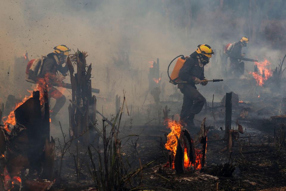 Firefighters and volunteers combat a fire in the Amazonia rainforest in Apui, southern Amazonas State, Brazil.