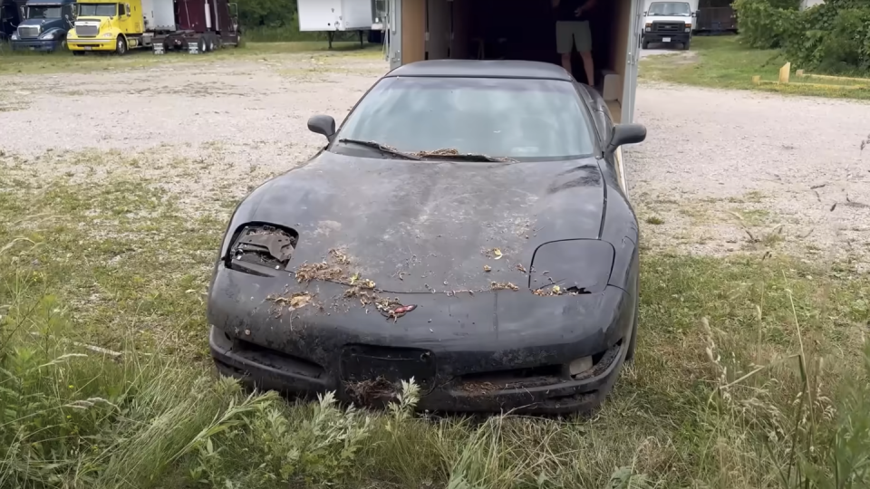 c5 corvette by wd detailing on youtube