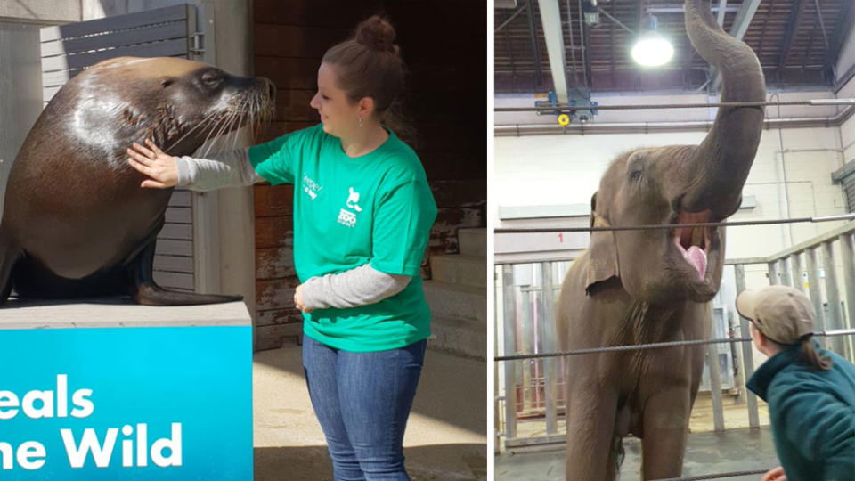 The Keeper for a Day program at Taronga Zoo Sydney