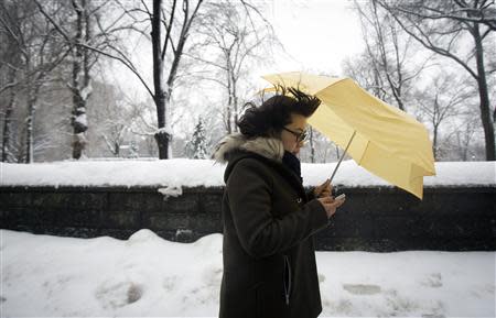 A woman walks with an umbrella in the rain in the Manhattan borough of New York February 5, 2014. REUTERS/Carlo Allegri