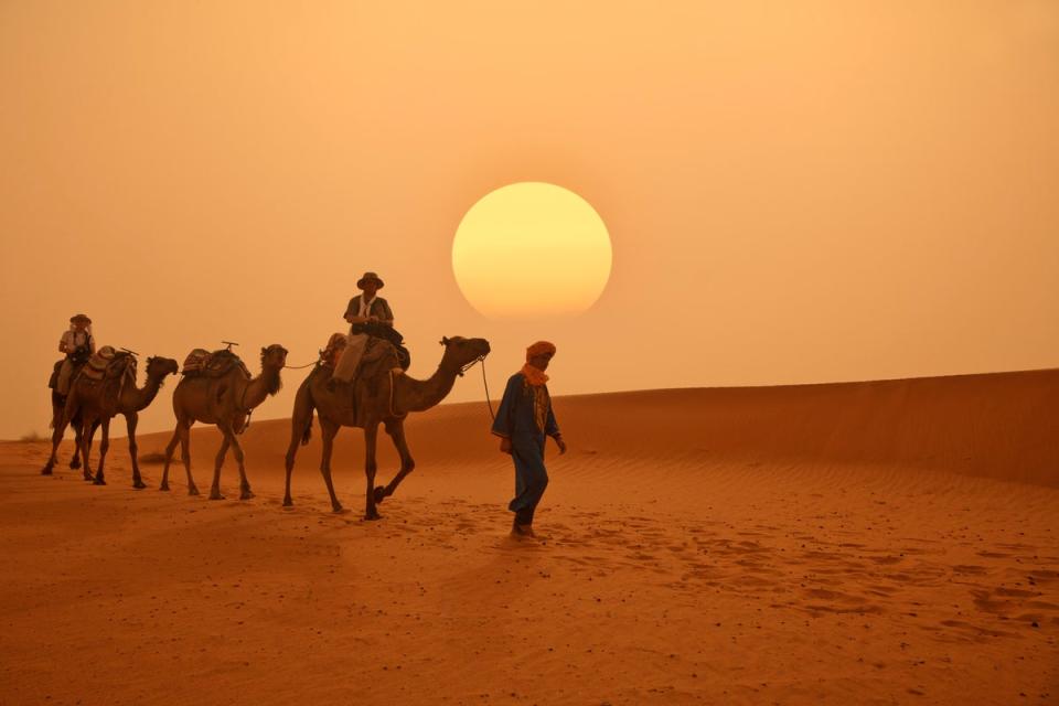 Camel rides are a popular activity in the Sahara (Getty Images)