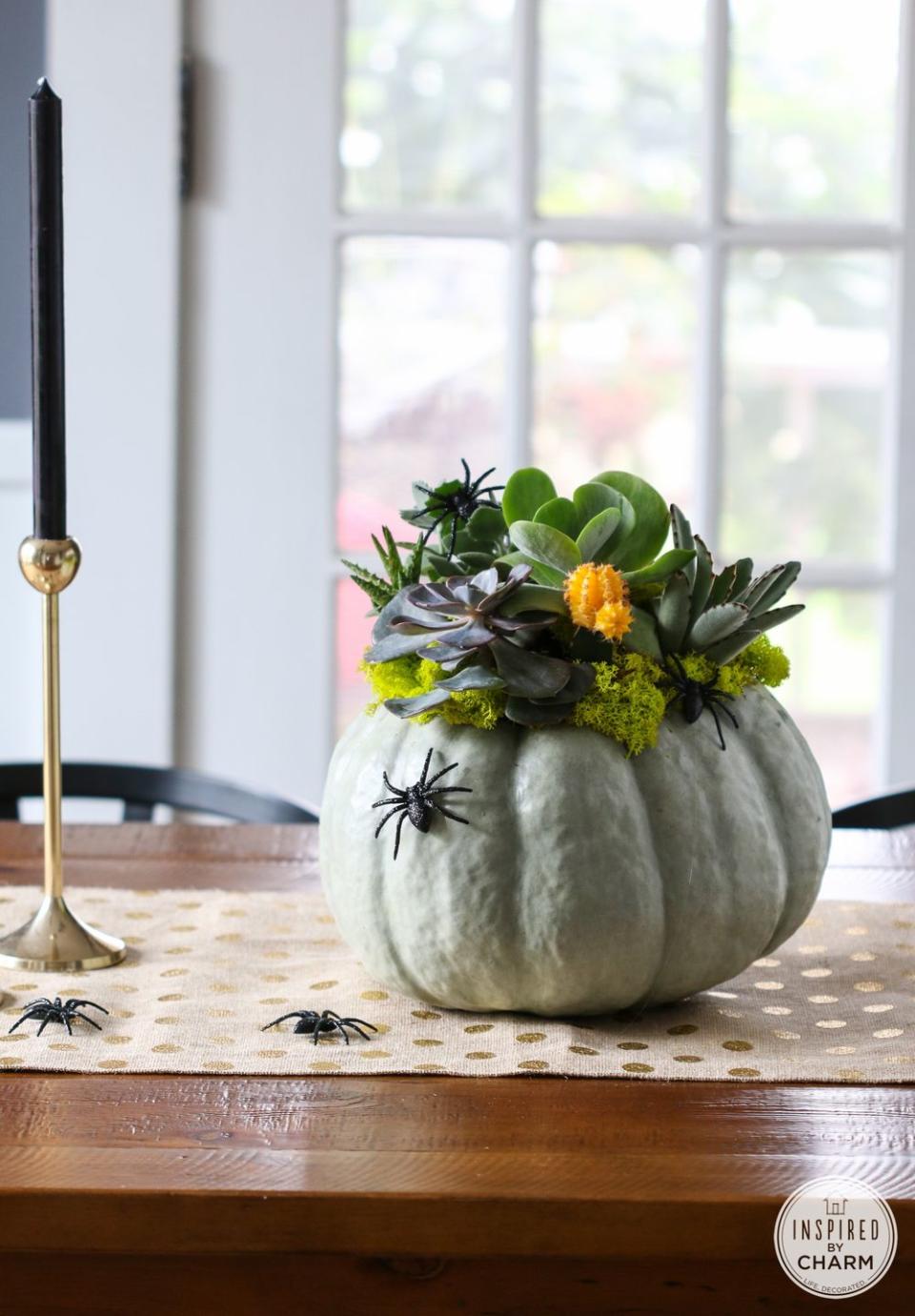 best pumpkin centerpieces succulent