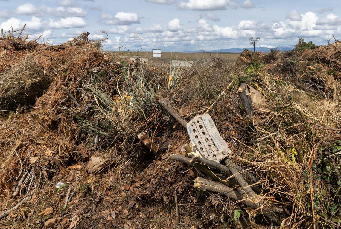 Composting organic matter, like this yard waste, tree limbs and egg carton, results in fewer carbon dioxide and methane emissions than in a landfill.